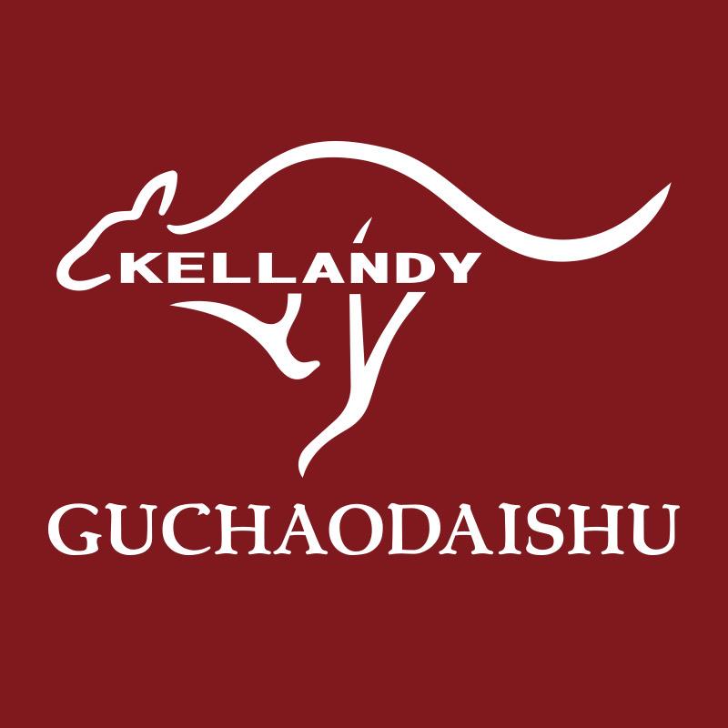 GUCHAODAISHU轻奢女包