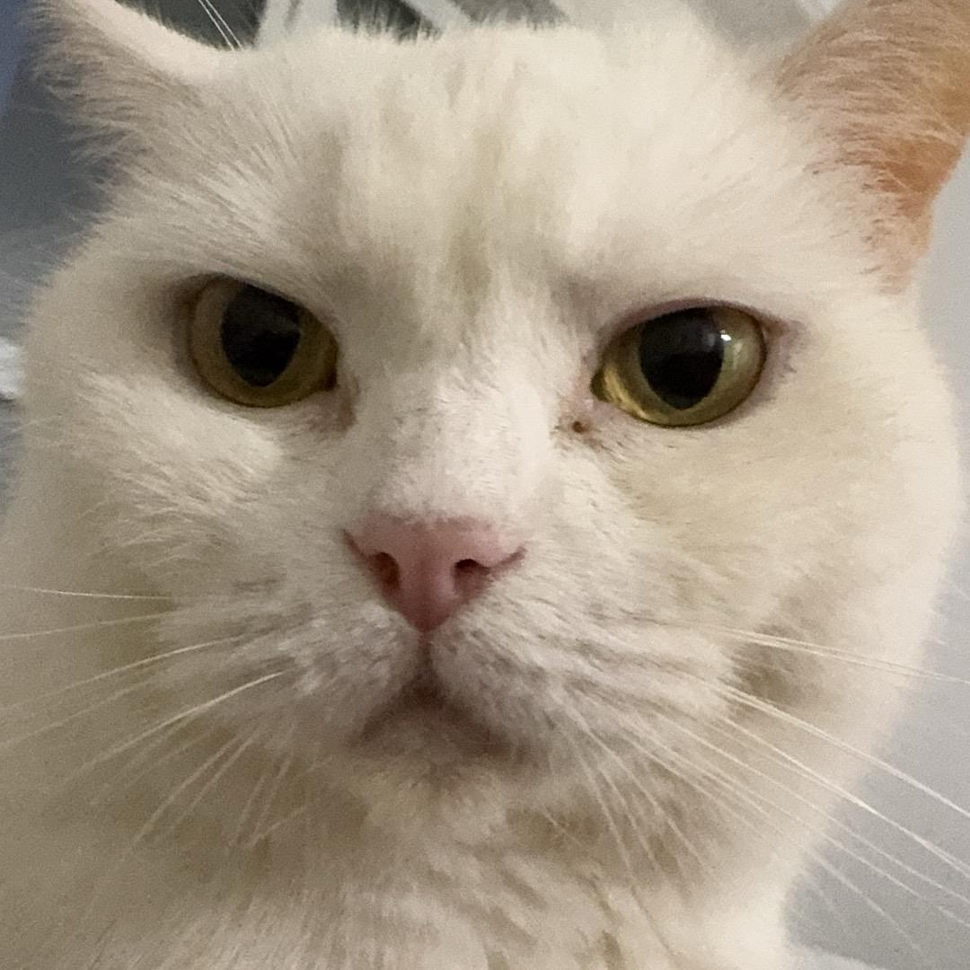 冉水