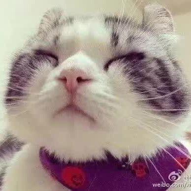 张弛有度