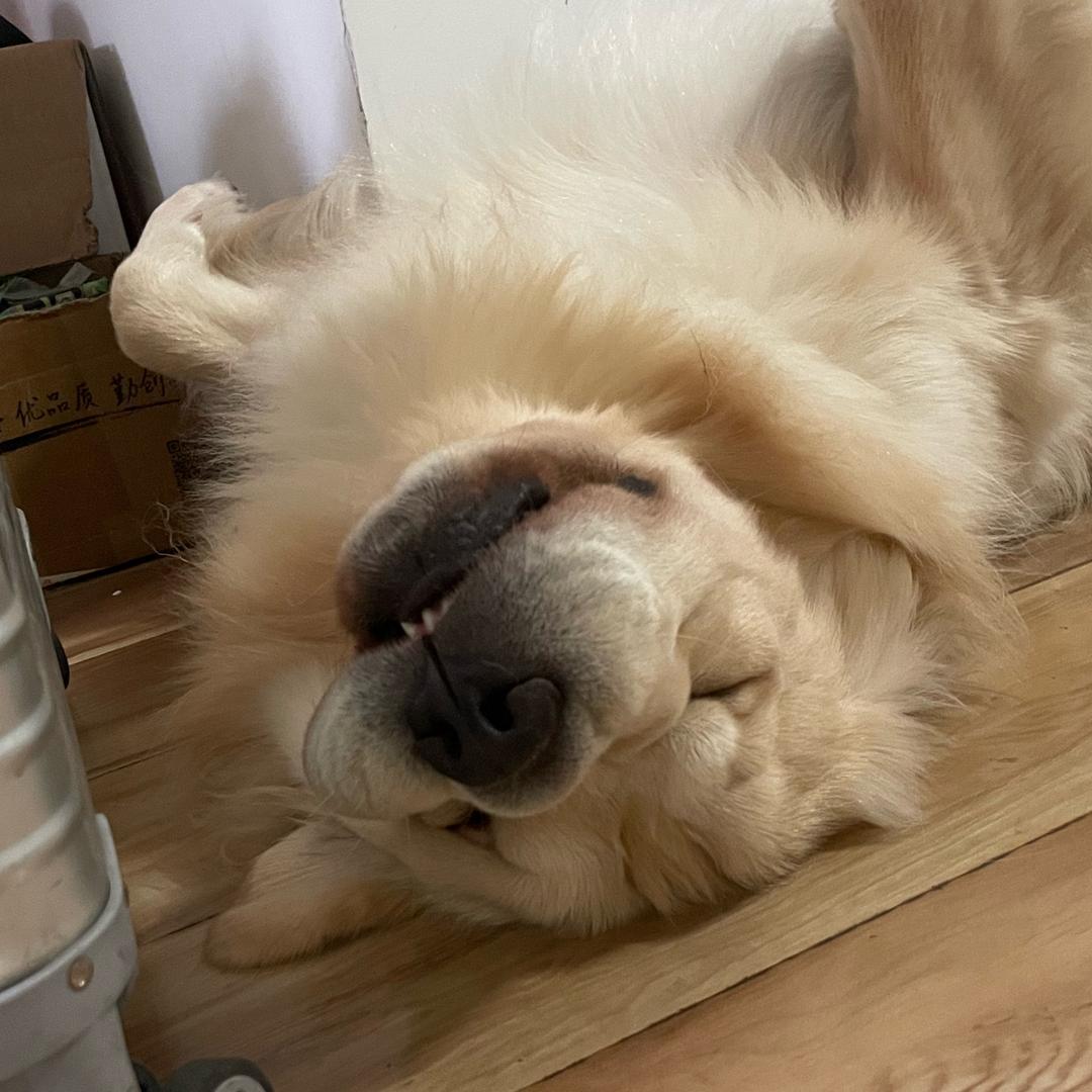 今天也要开心鸭