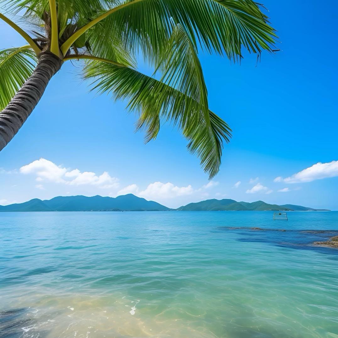 三亚旅游地接（本地一手地接）