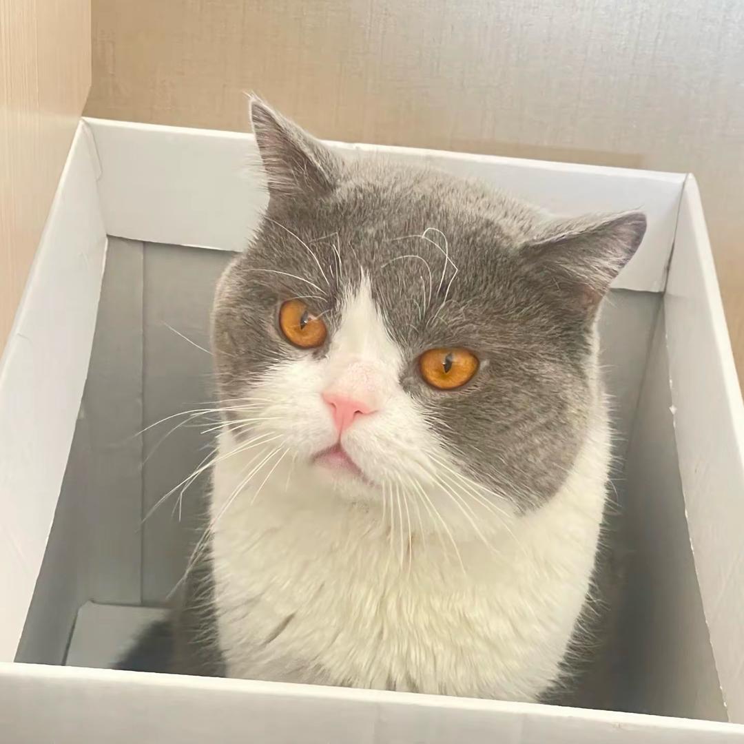 🐾