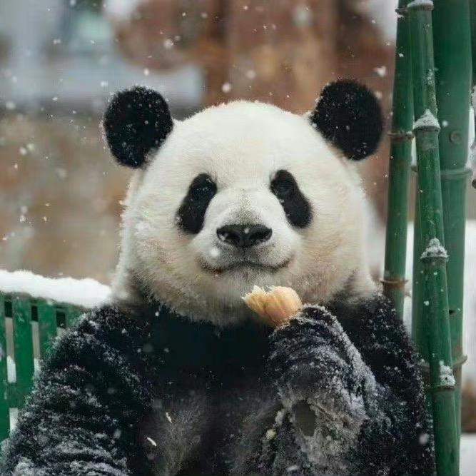 爱吃火锅的串串