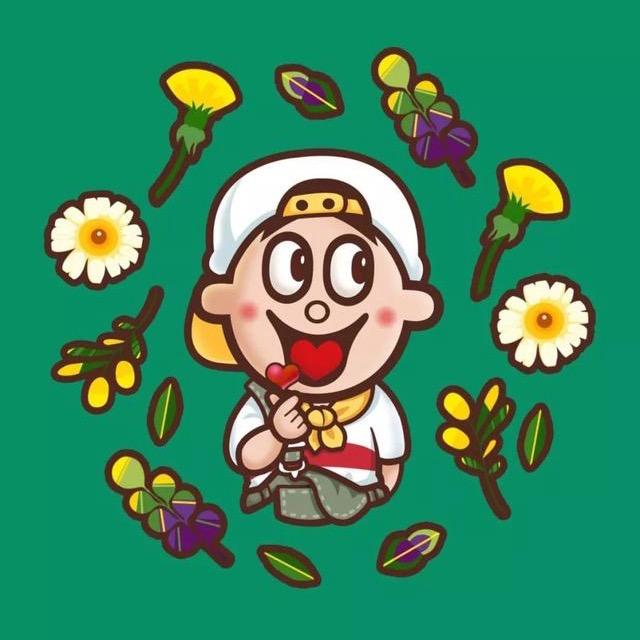 热爱排球的财务小浩