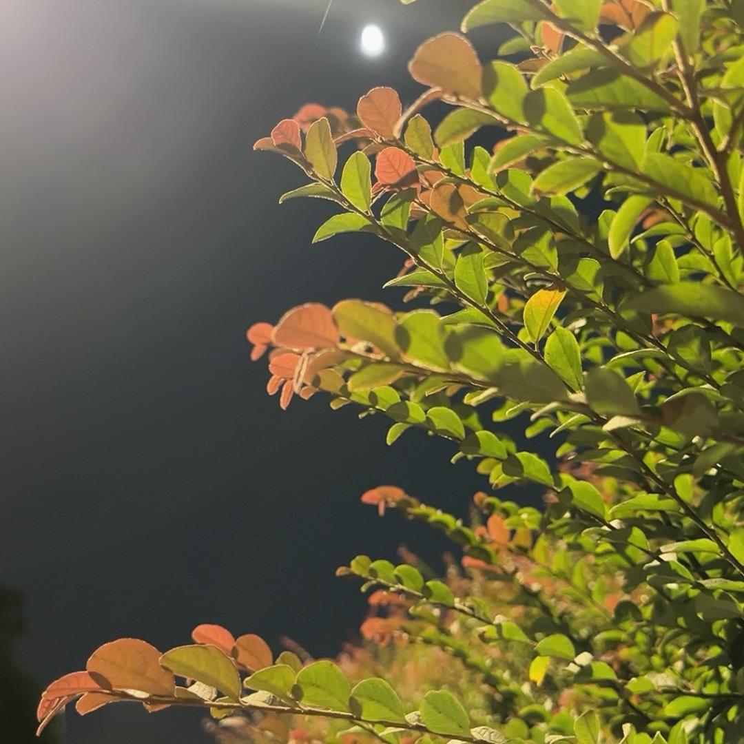 ٩(๑🌞暖阳🌞๑)۶