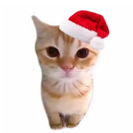 蘑菇蘑菇ashleyashley