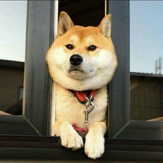 琳@梓