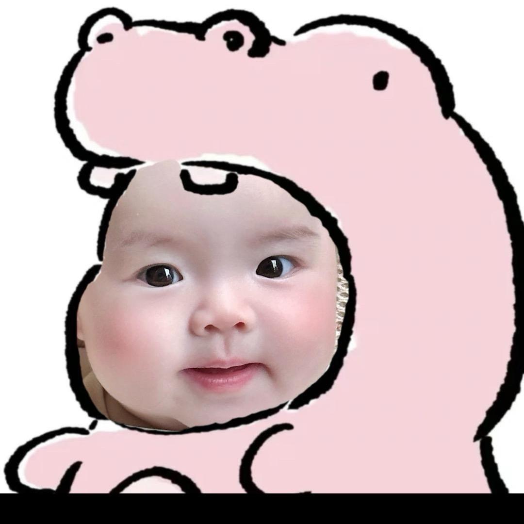 一只丸丸瑶