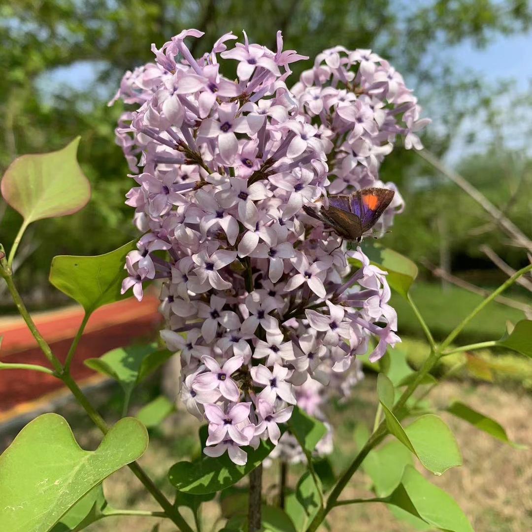 岁月不待人❤️