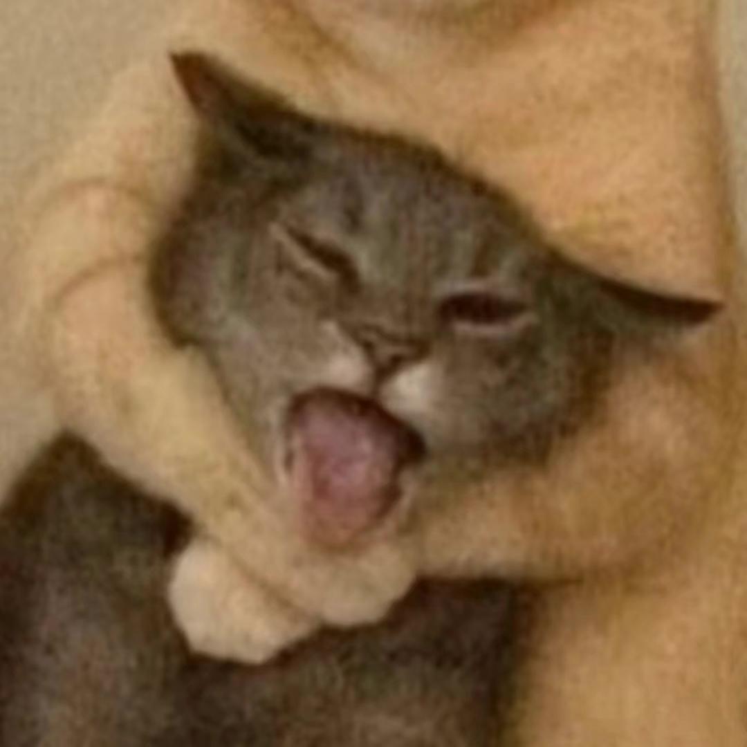 清竹