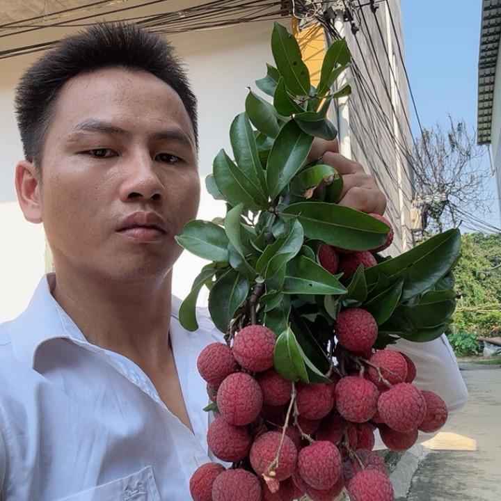 痴情人
