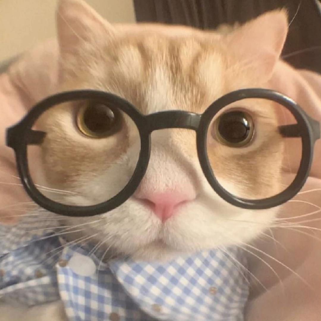 糖醋里脊