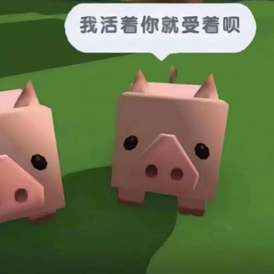 睡觉的时候不困