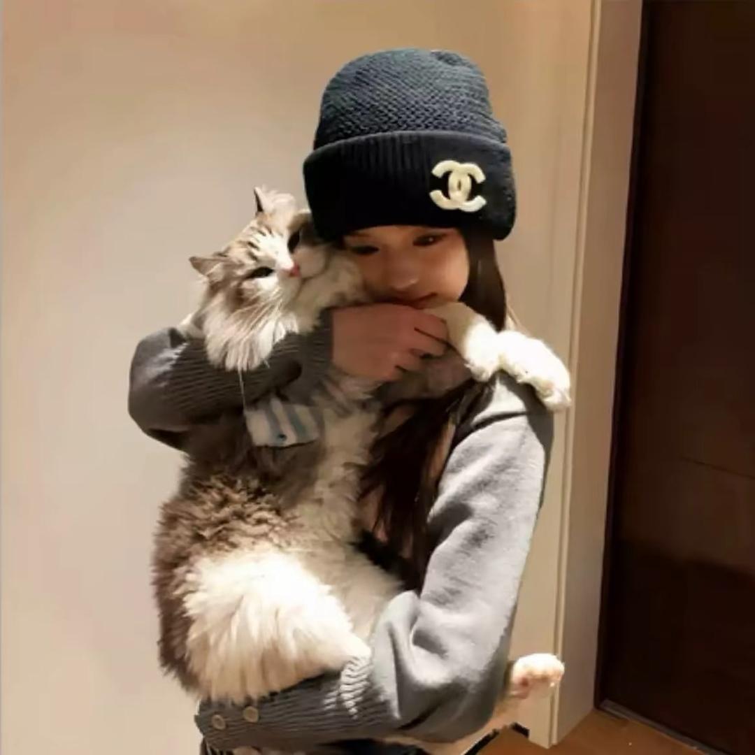 小小猫🐱