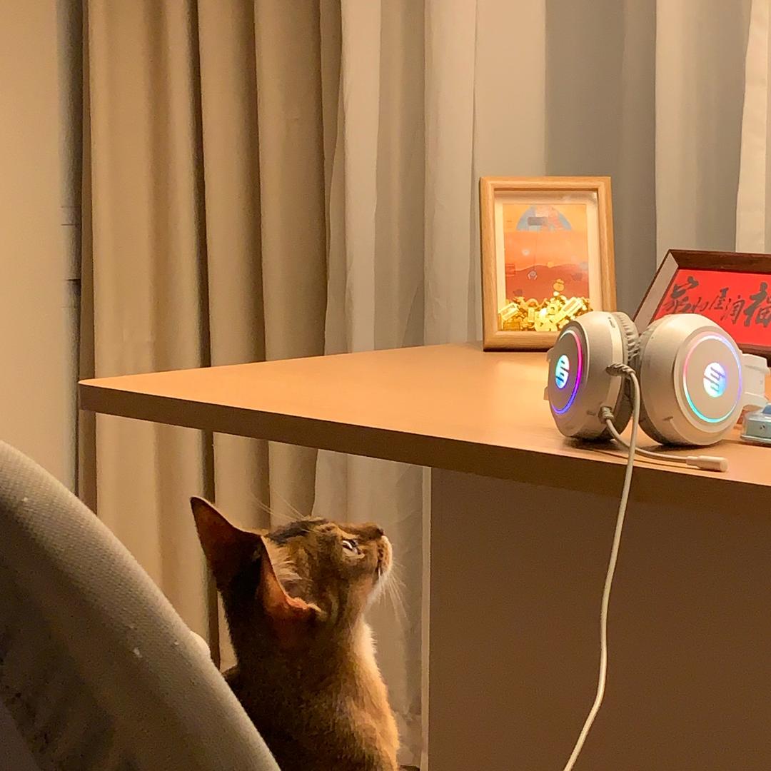 可爱六加一^ω^