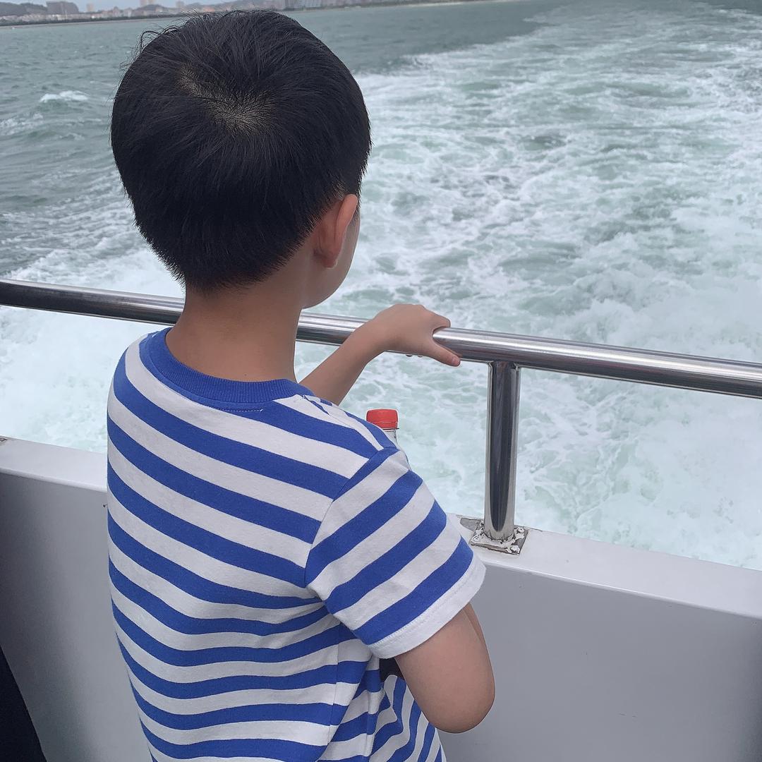 寒梅傲骨