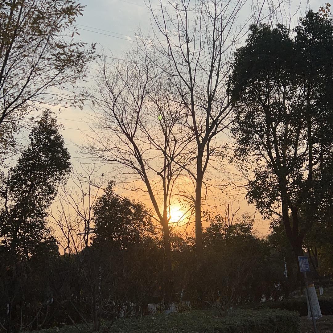 昵称已被认证啊