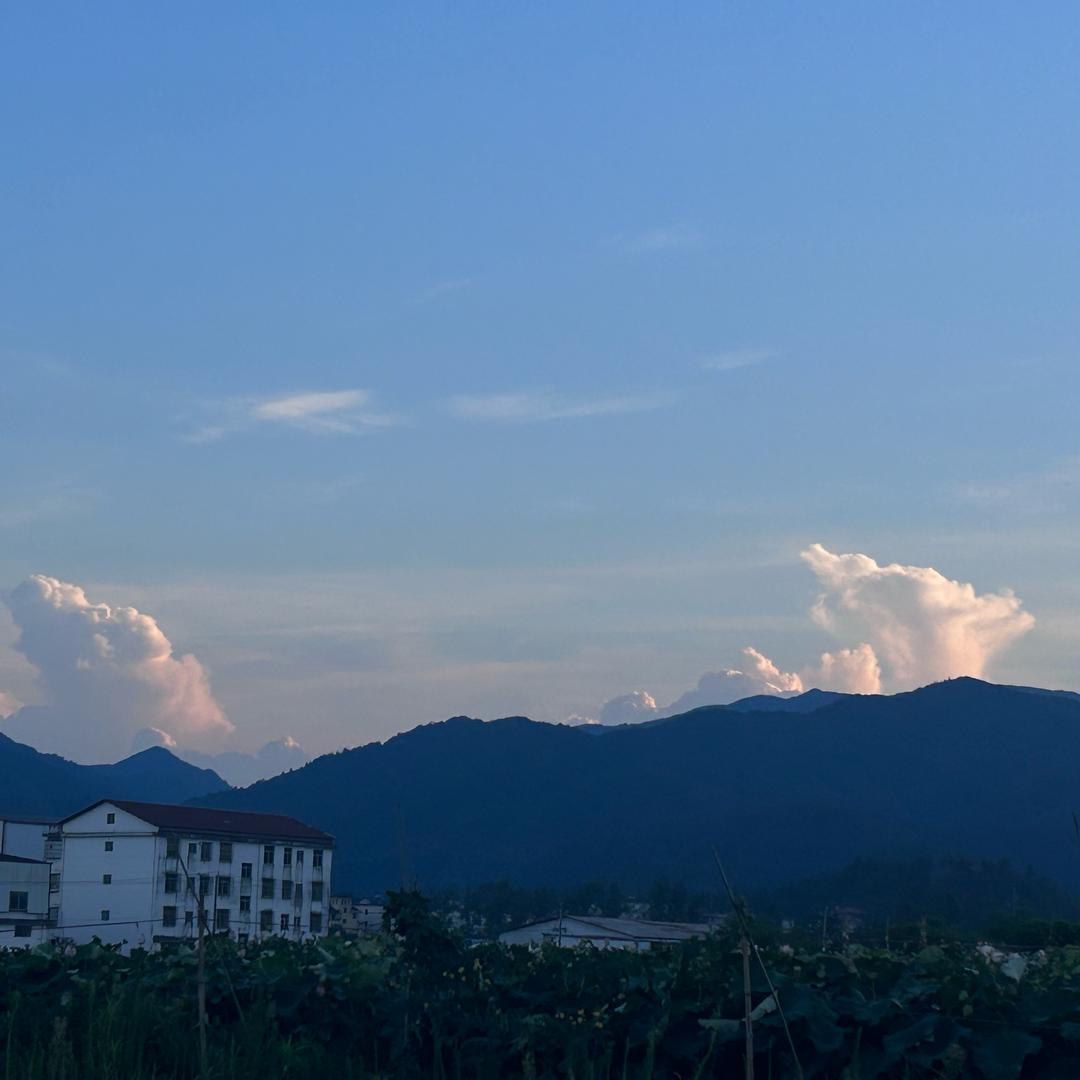 香喷喷的炸年糕