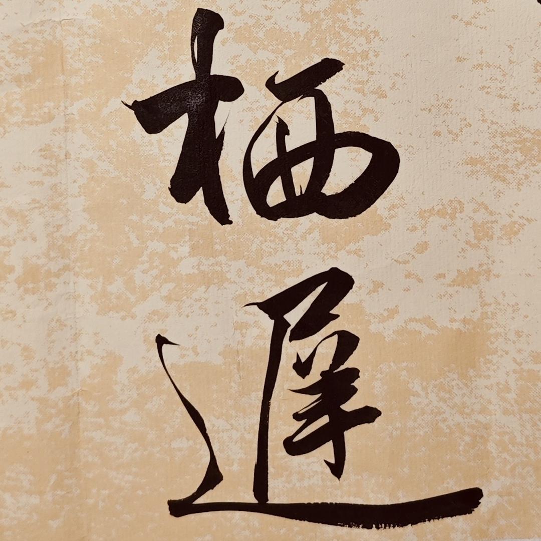 栖迟电竞