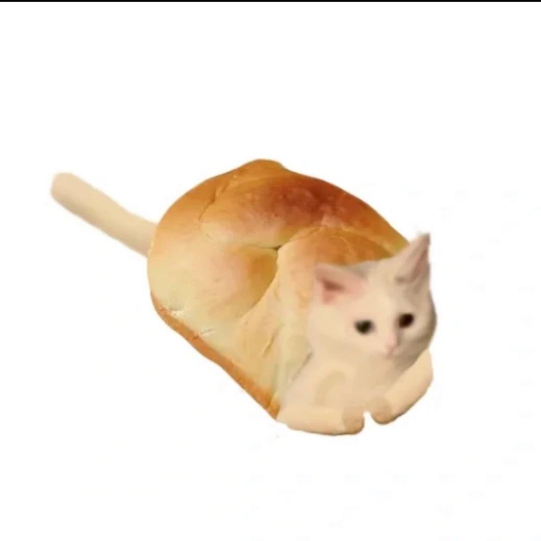 橘fa