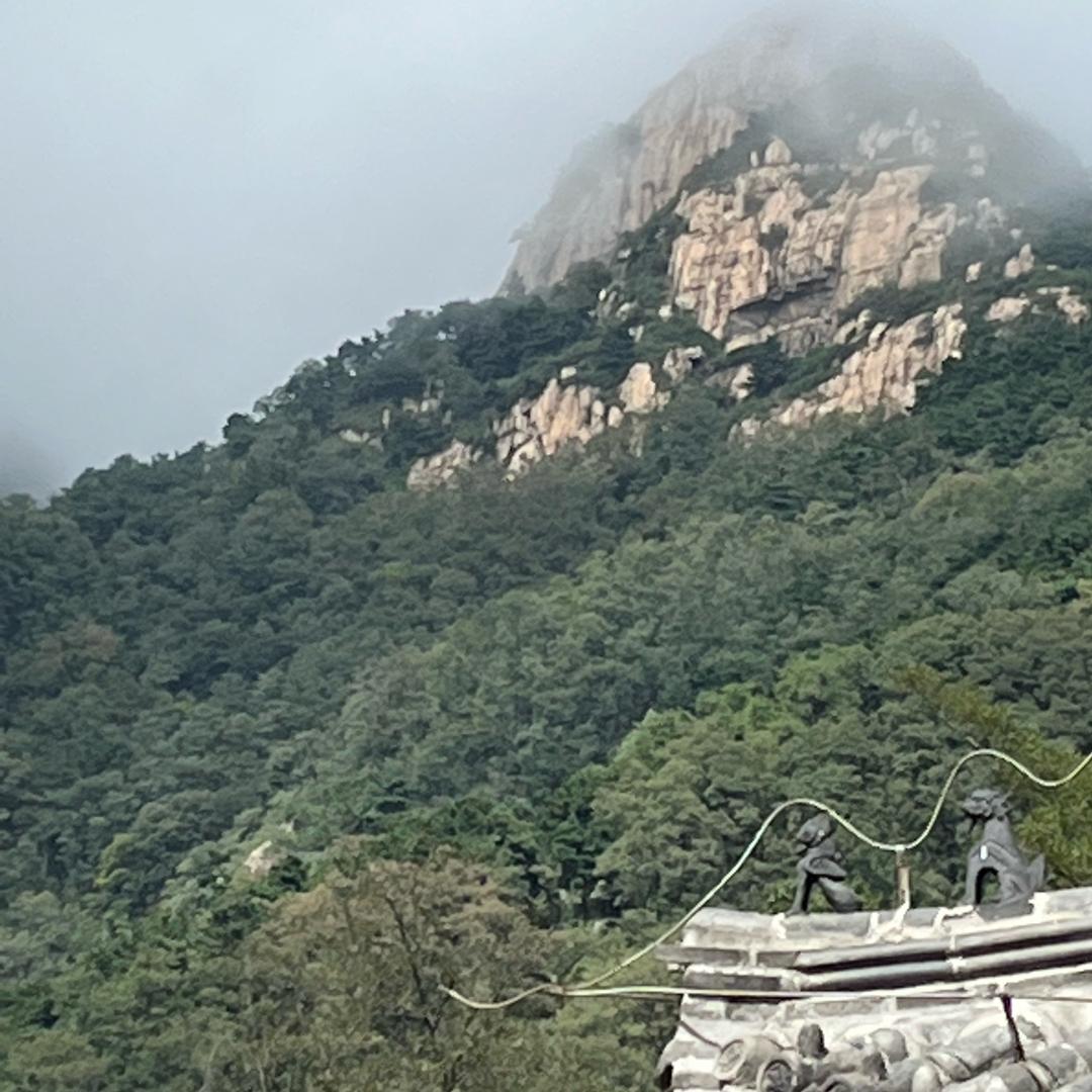 丐帮谣(重新开始)@抖音