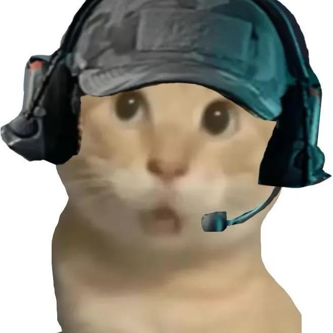 笨蛋总爱流眼泪