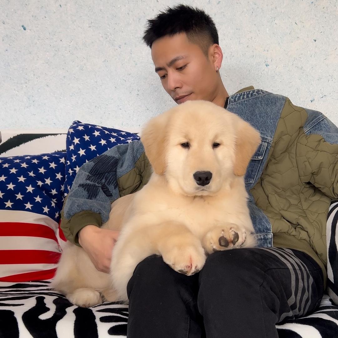 润隆金毛犬舍