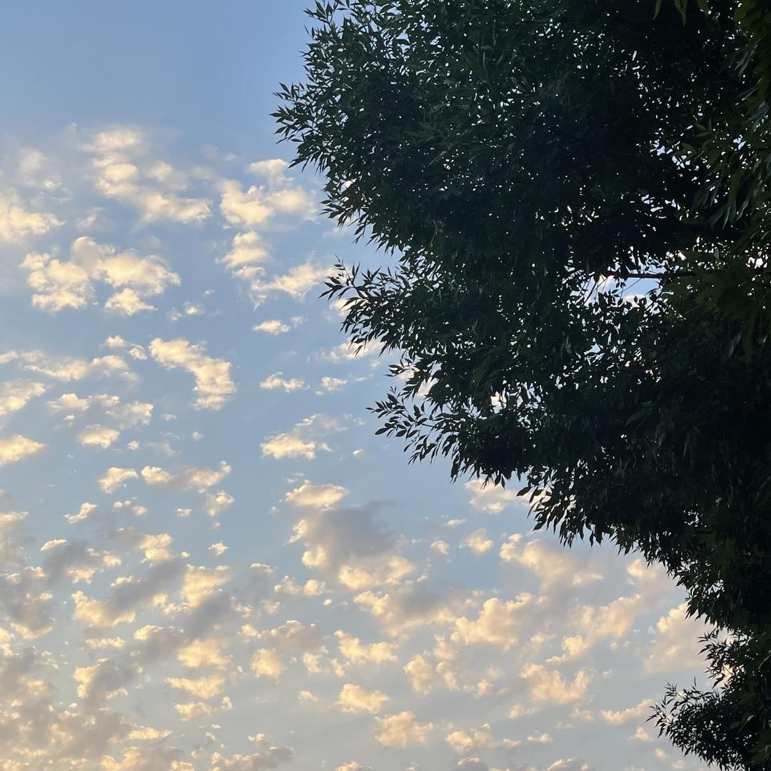 笑笑不说话-