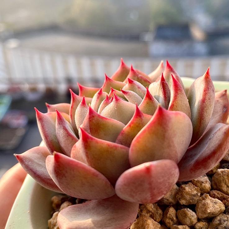 阳光8小时