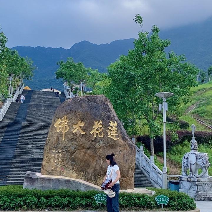 费