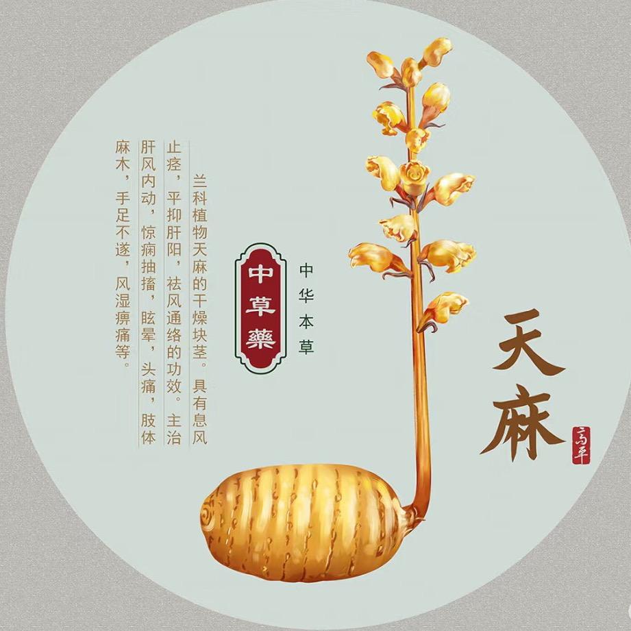 天麻种植技术咨询