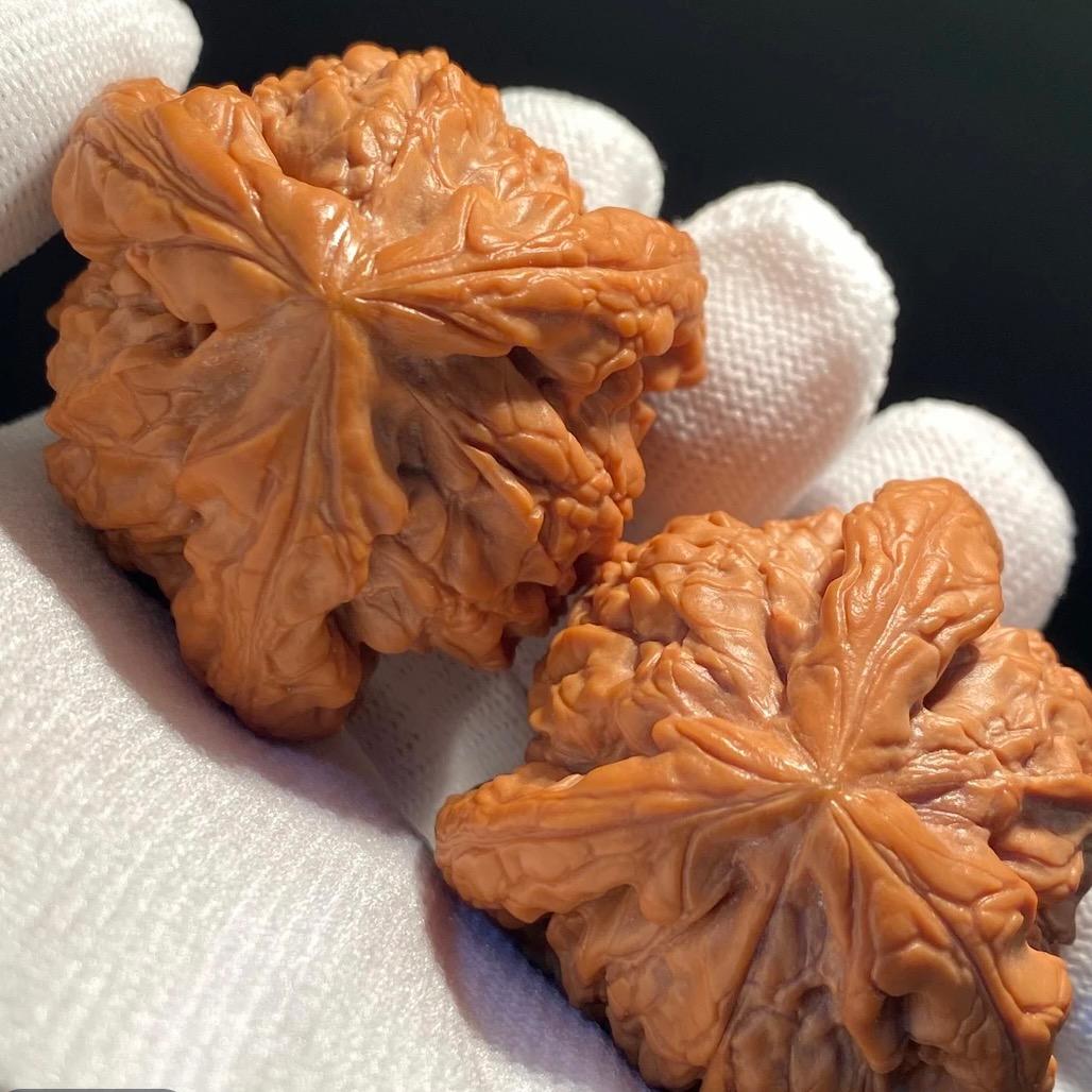 涞水尚诚文玩核桃
