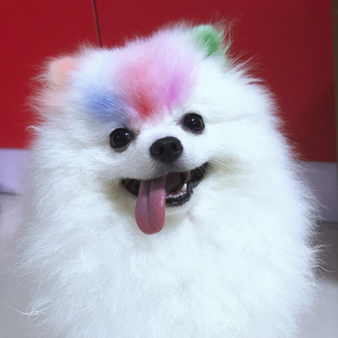 李福宝