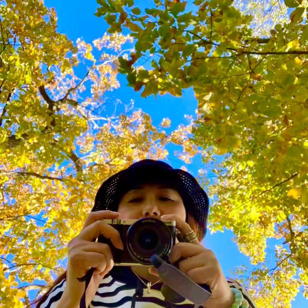 🍁王后余生（手机摄影）