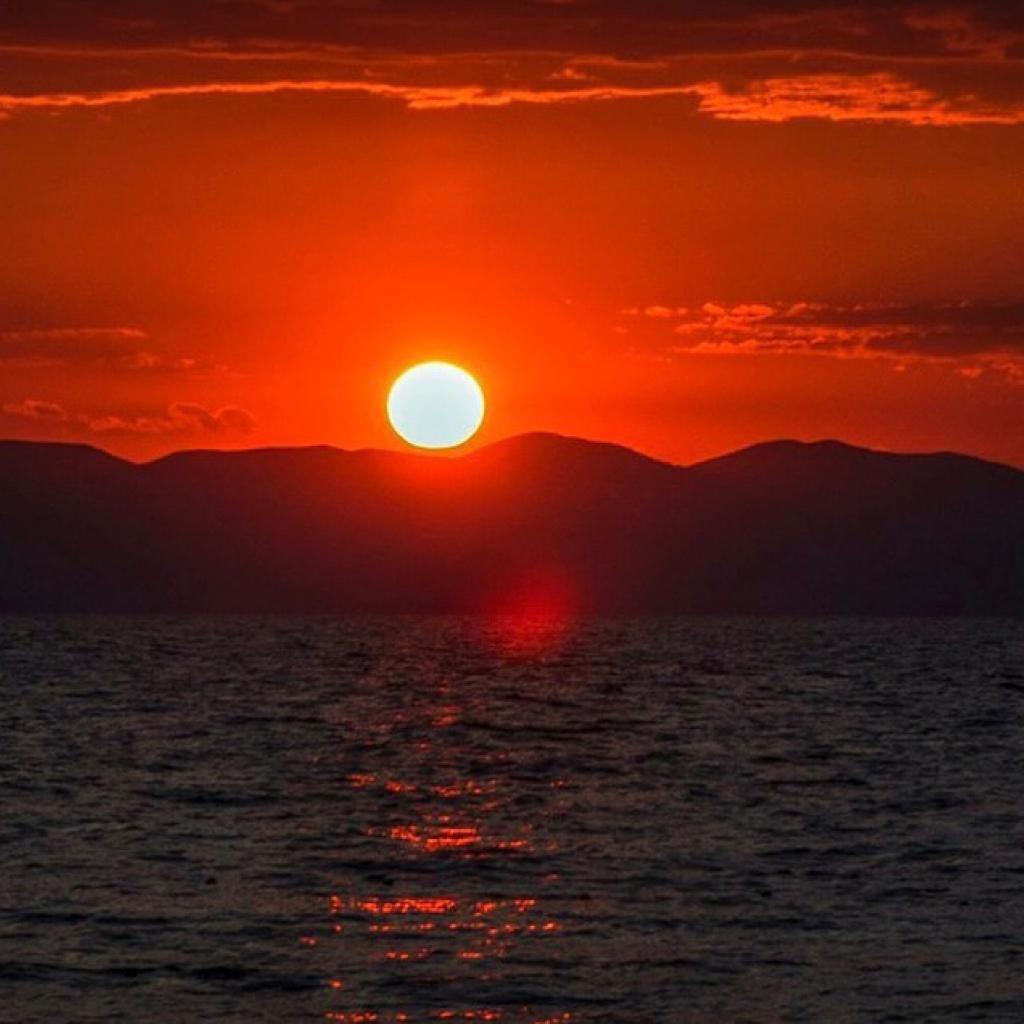 韦氏餐饮行业人