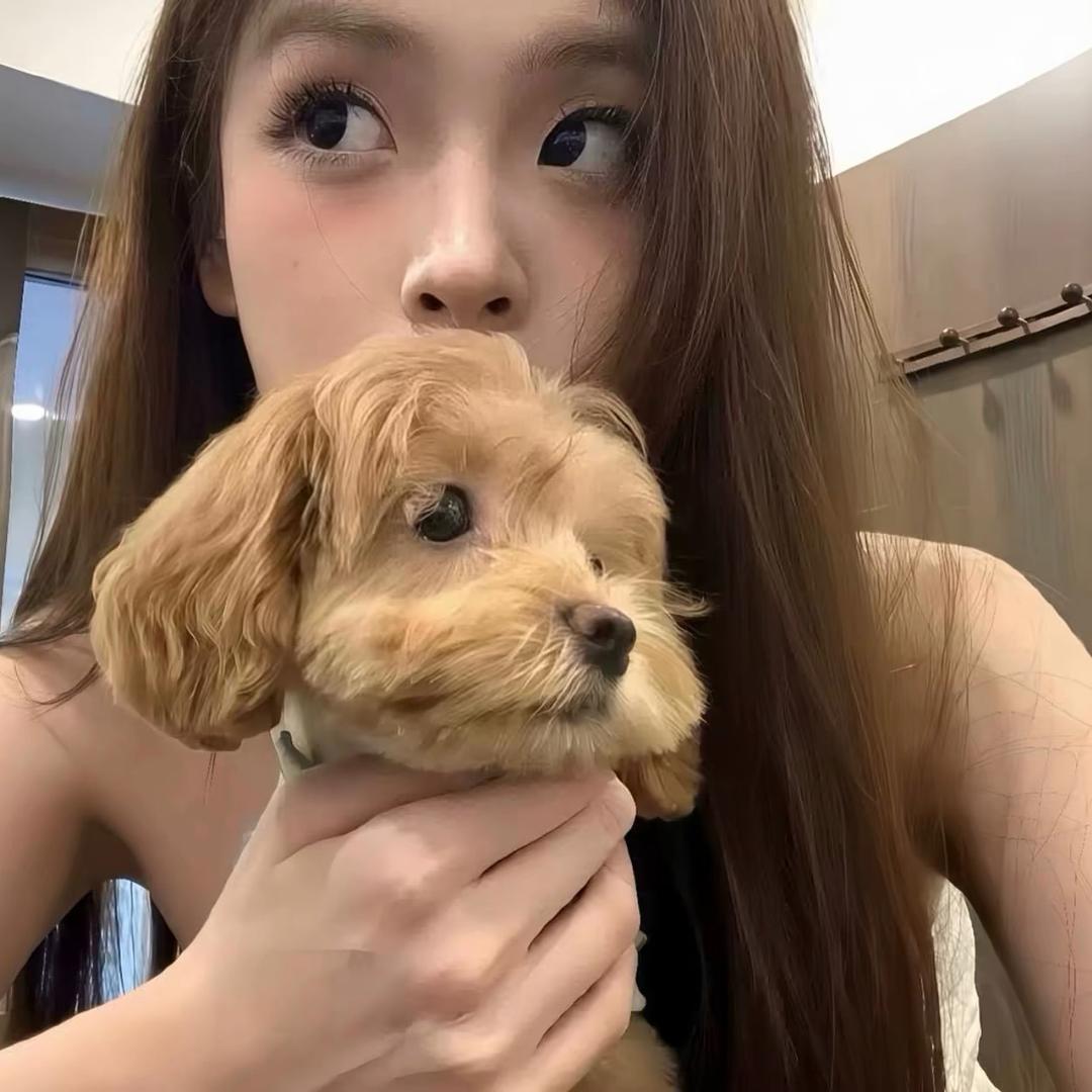 下次一定早睡