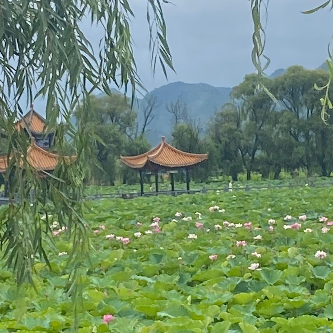 随缘