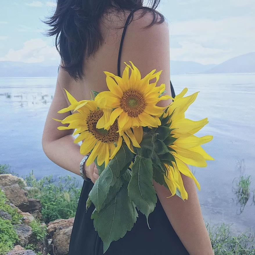 阿丹家的鲜花
