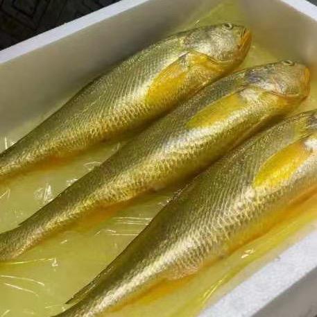 未班车