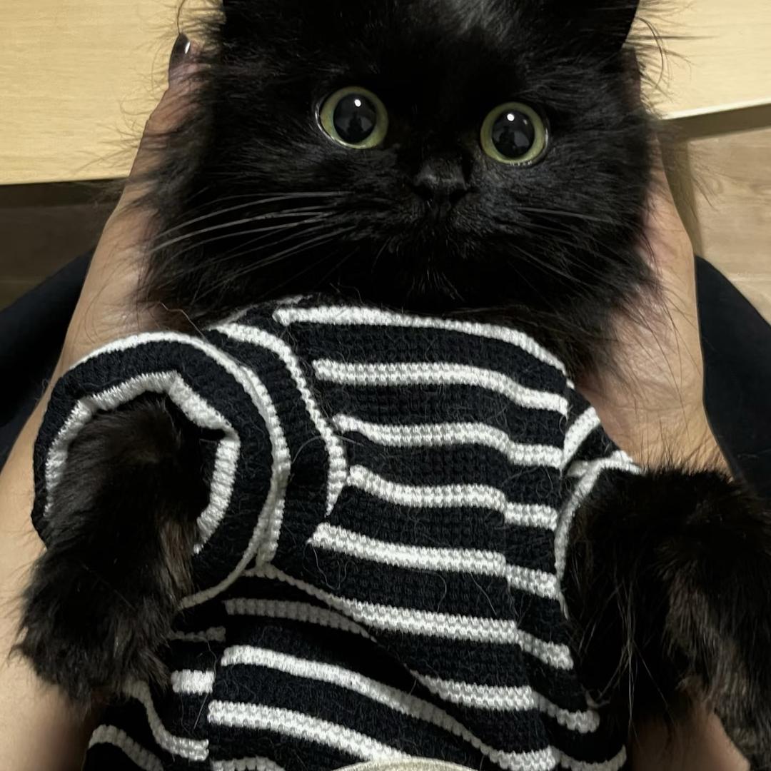 2924