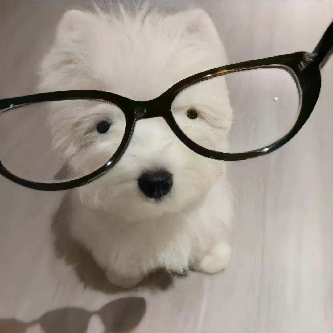 小趴