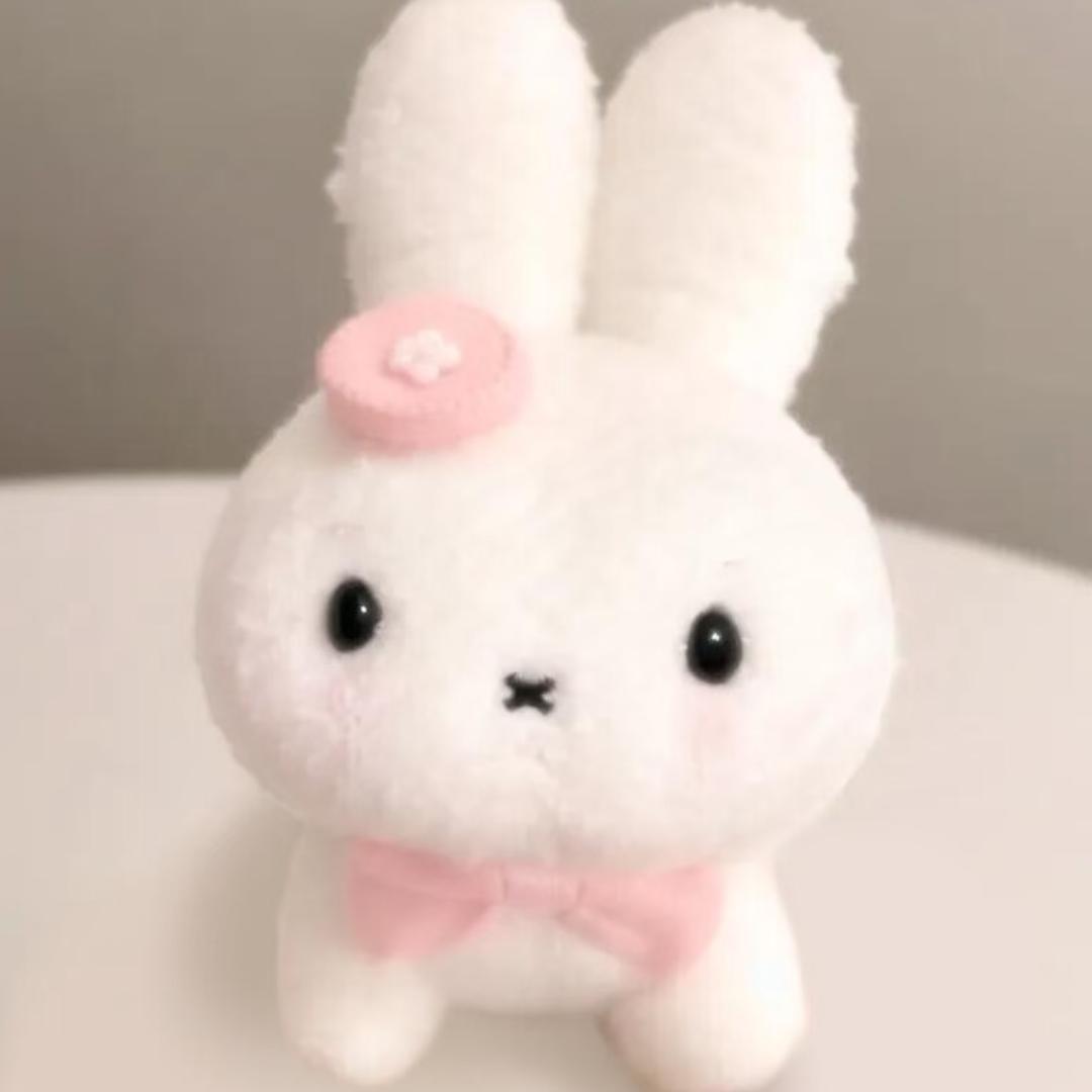 가지마