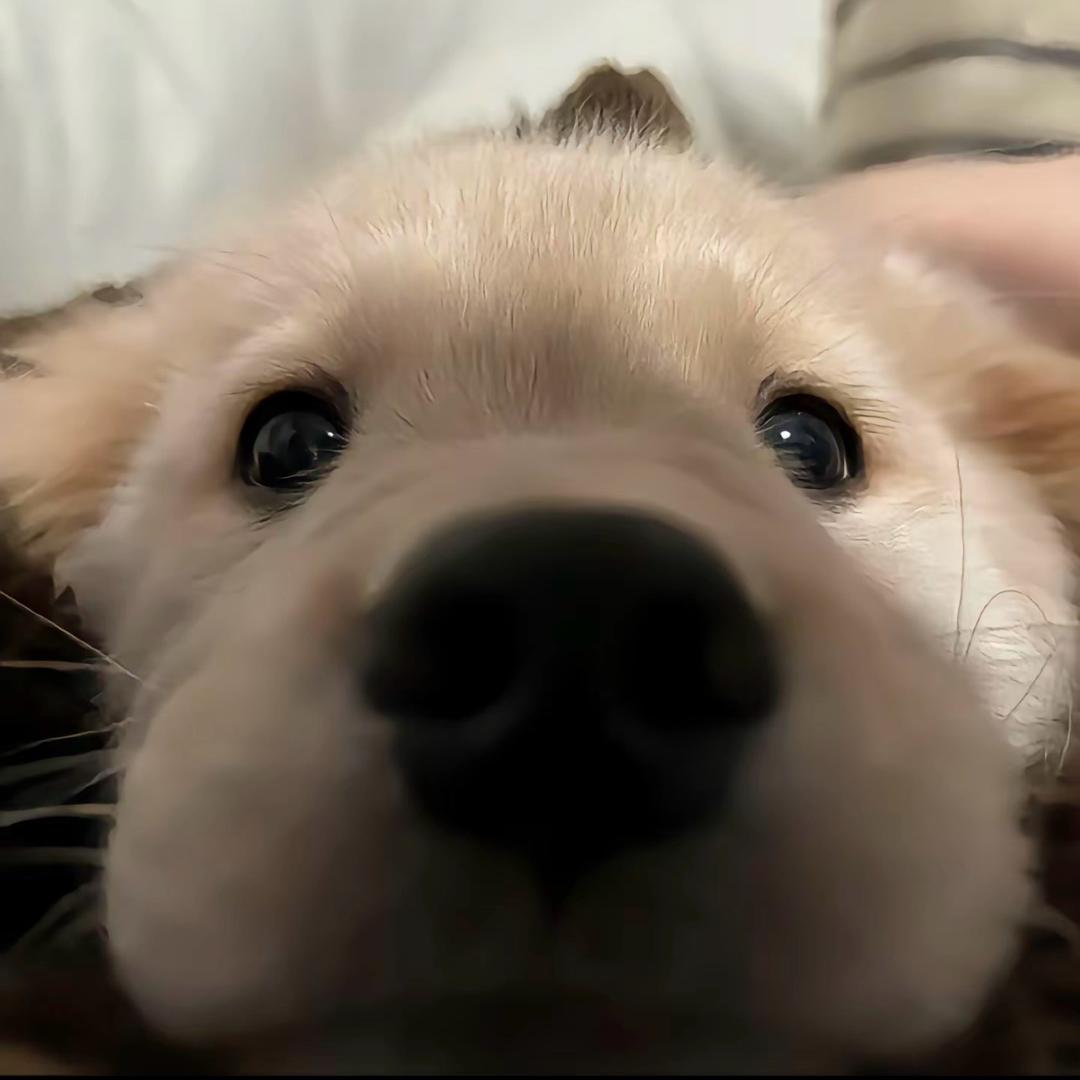 。。。。。。。。。。。。。。。