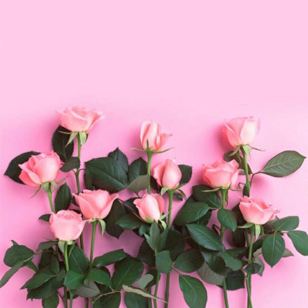 ໑ຼ₀₂₅ღ᭄福满兜兜🕊꧔ꦿ᭄