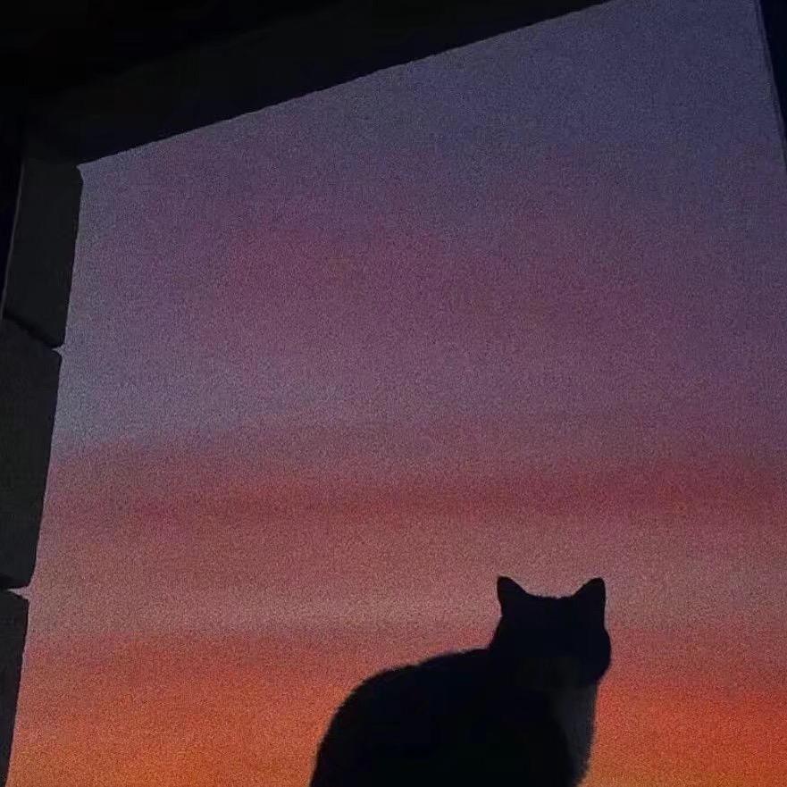 不会说话的小灿