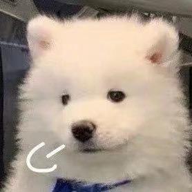 LuLuLuuuu