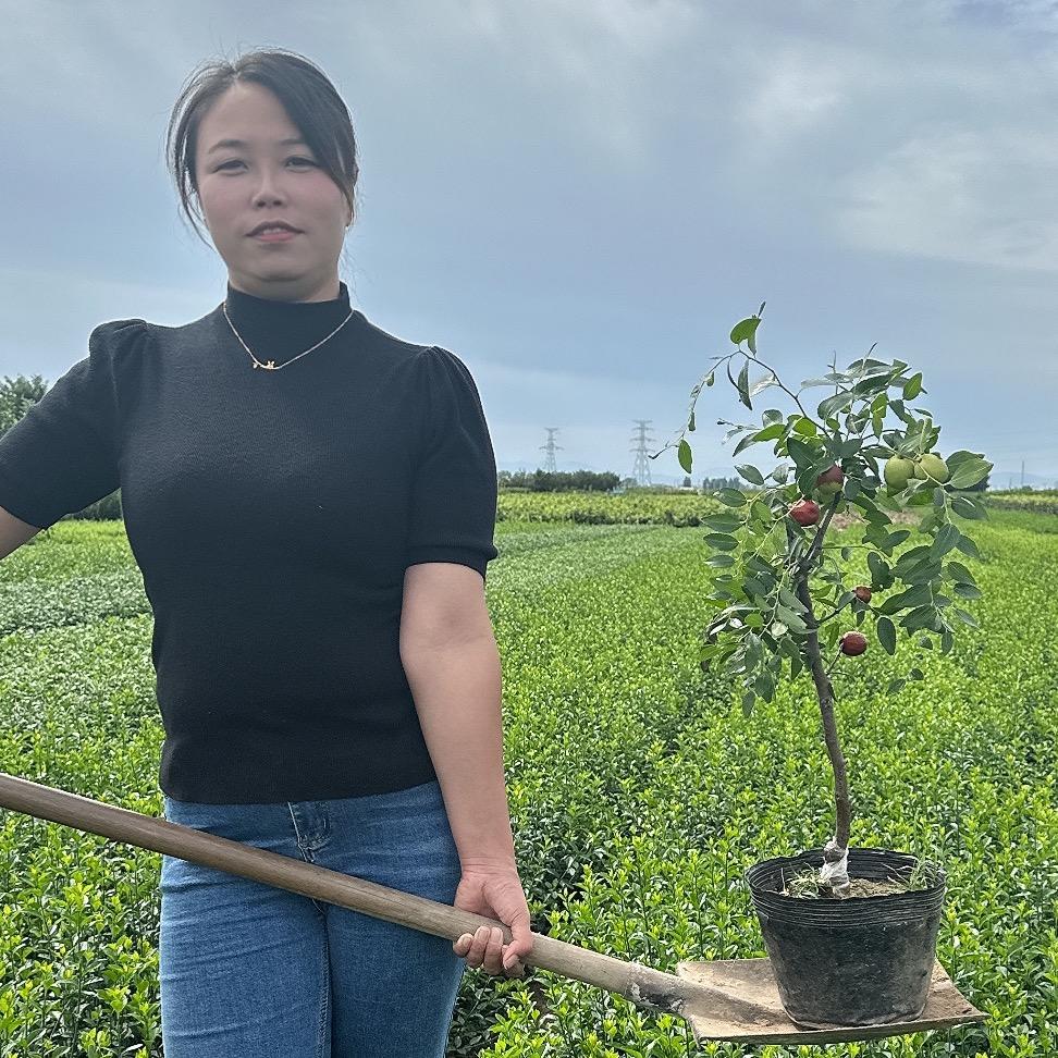 王俏果树苗木专营店