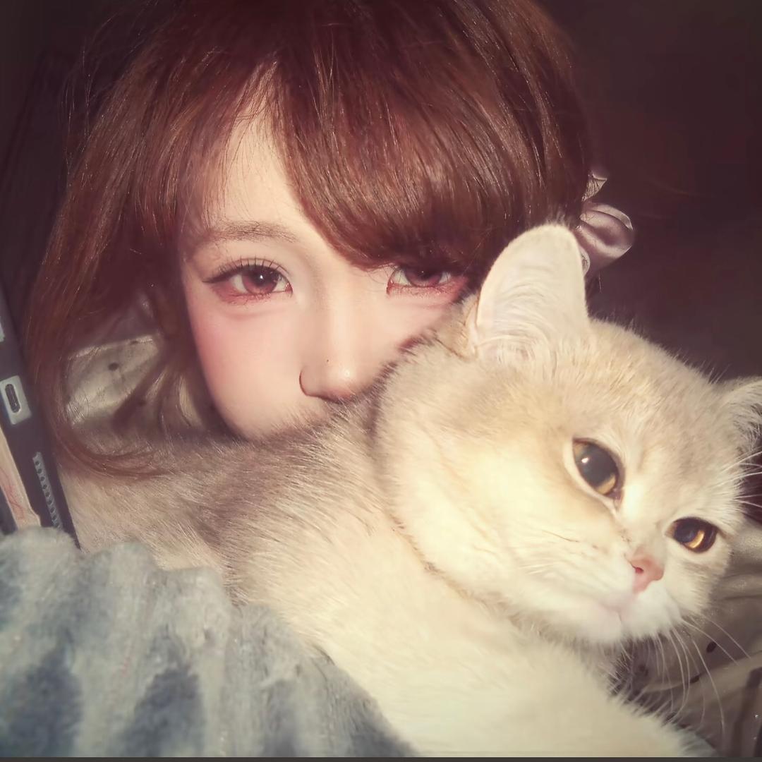 猫味鱼饼🍥头像