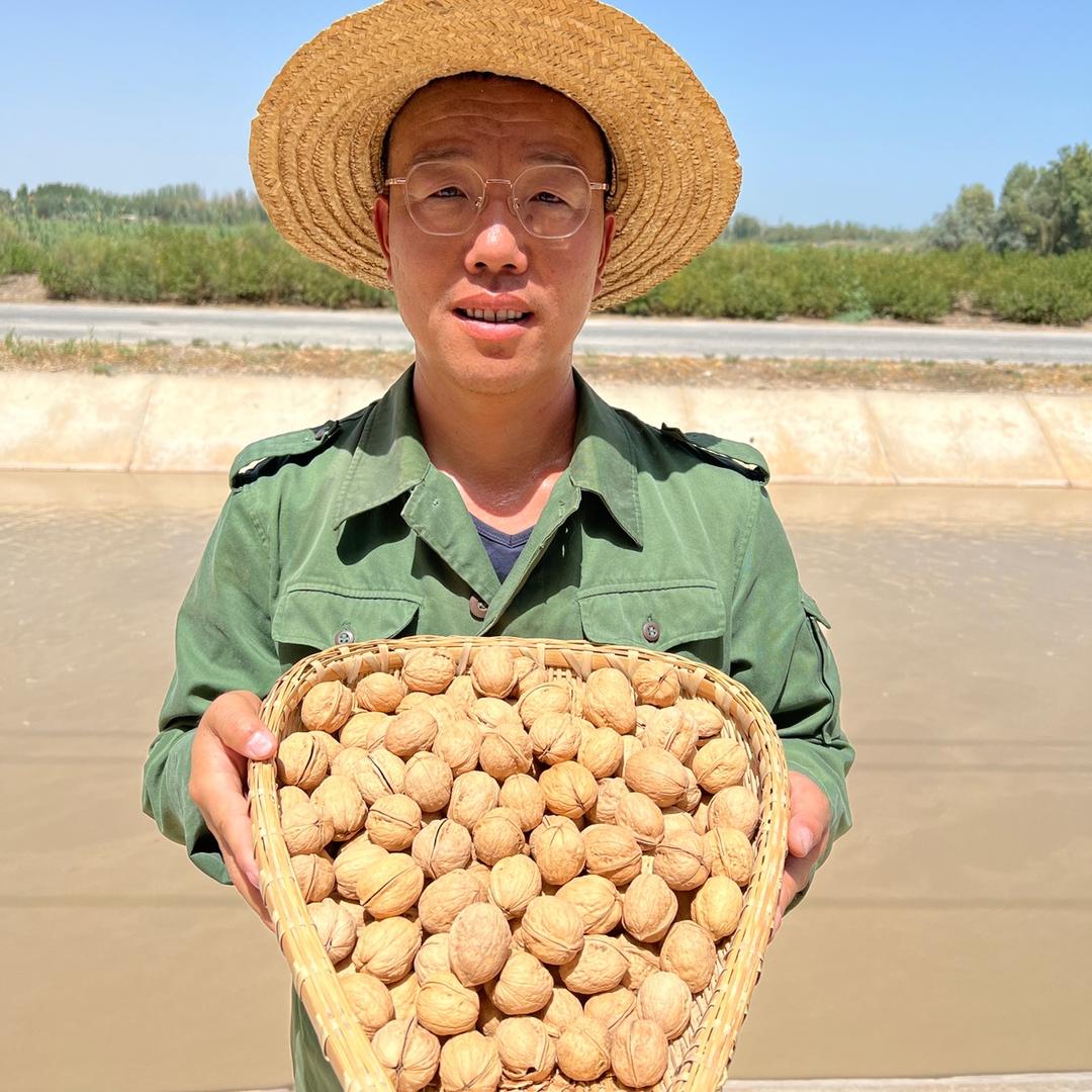戈壁鼠新疆特产