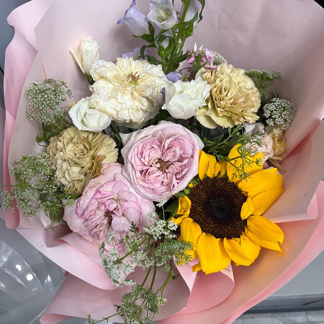 小太阳（太浦河水产）